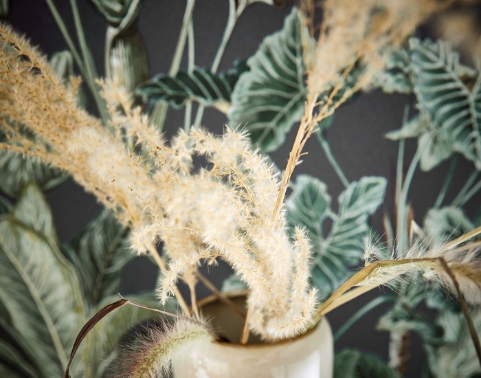 Structura_0553_19_Structura405_D