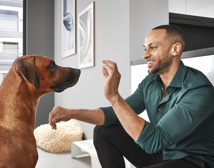 30868_23_Novalux_516_M